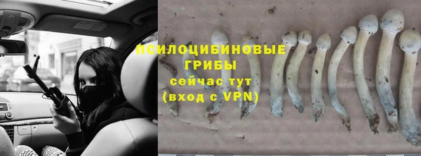 кокс Арсеньев