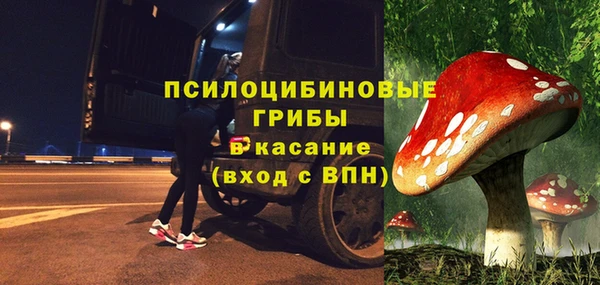 гашик Армянск