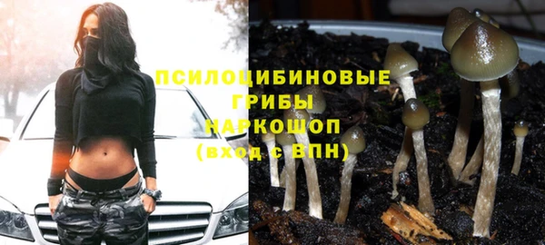 гашик Армянск
