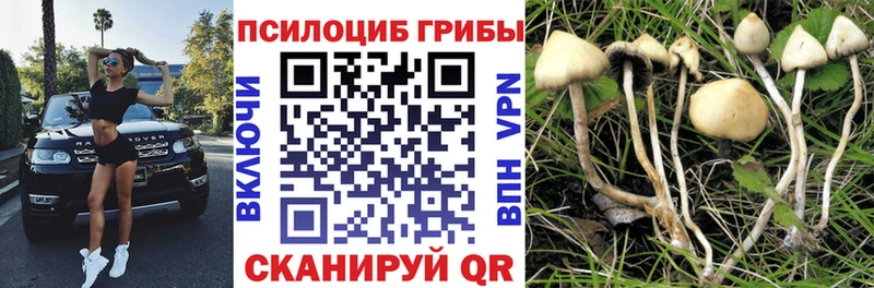 ссылка на мегу ONION  Похвистнево  Псилоцибиновые грибы ЛСД 
